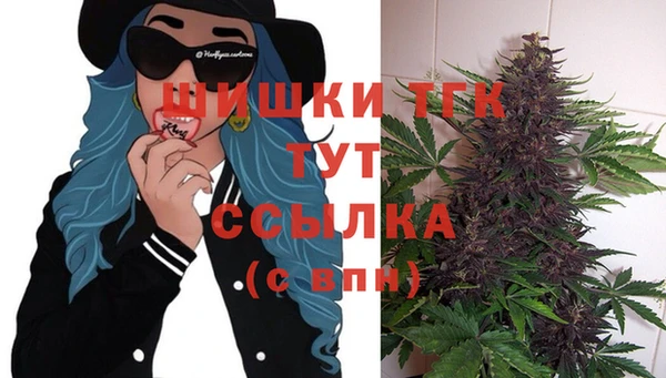 стаф Беломорск