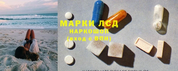 стаф Беломорск